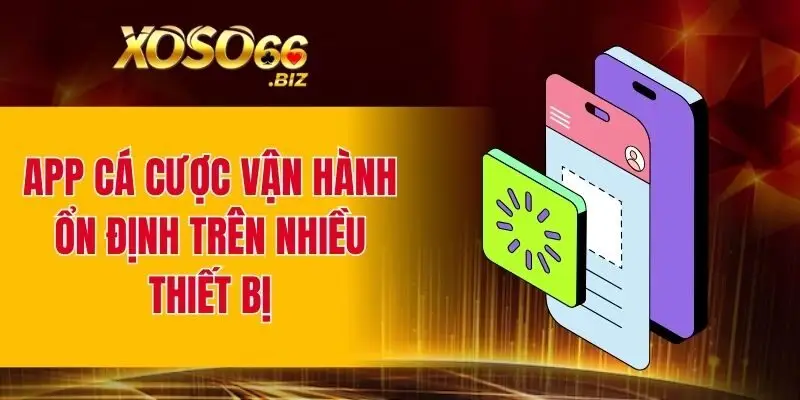 App cá cược vận hành ổn định trên nhiều thiết bị